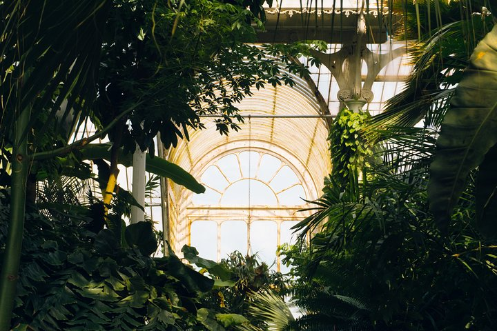 Kew Gardens Podcast Tour